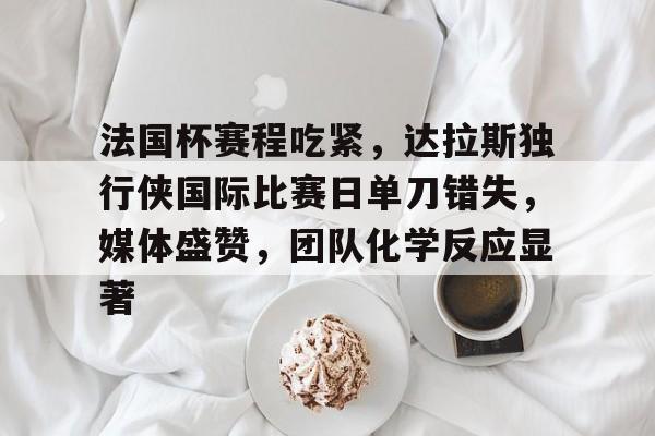 包含法国杯赛程吃紧，达拉斯独行侠国际比赛日单刀错失，媒体盛赞，团队化学反应显著的词条-尊龙娱乐官网