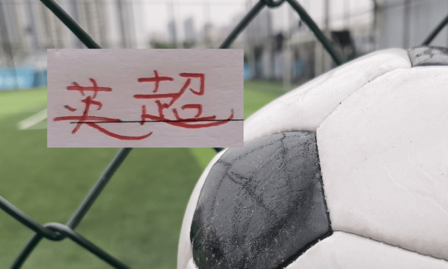 阿森纳谈拜仁-尊龙娱乐官网